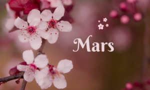 L’ECLAIREUR – Mars 2024